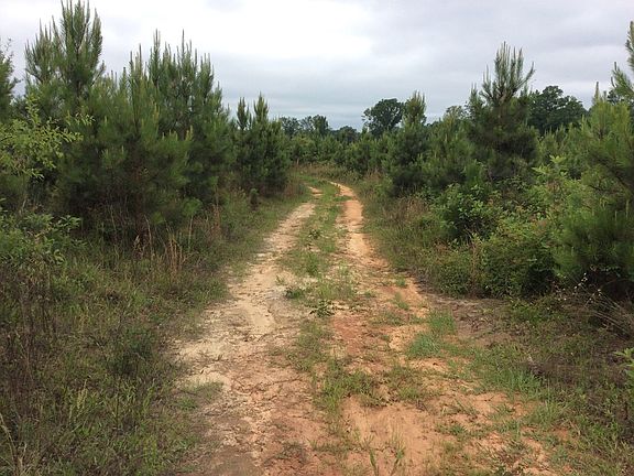 5th image of 750 Pond Creek Rd