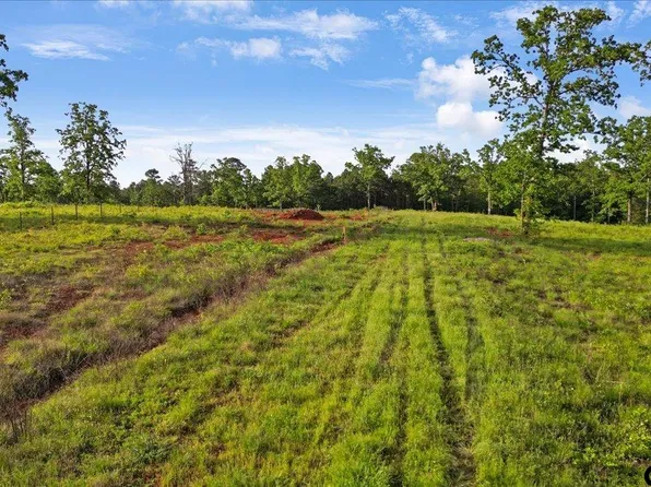 Lionheart Dr, Tyler, TX 75708