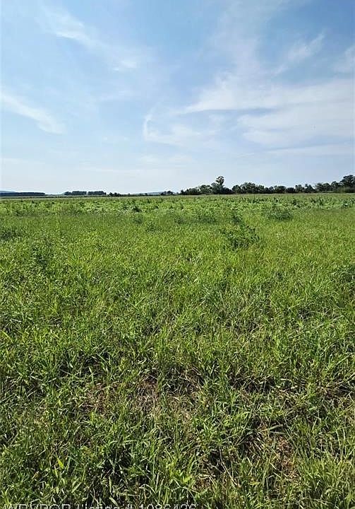 2nd image of 4775 Old Military Rd