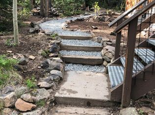 63 Hamill Rd, Silver Plume, CO 80476