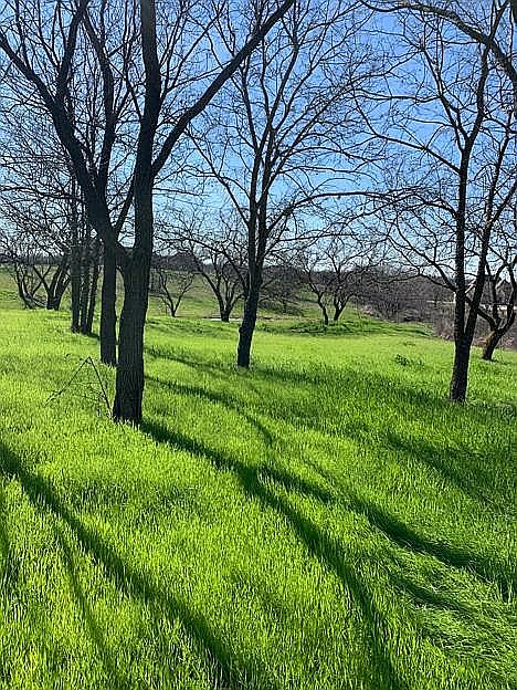 5 years treating the soil