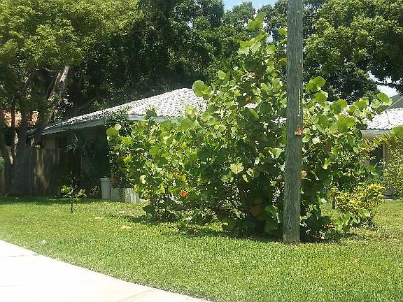 2nd image of 316 Lagoon Dr