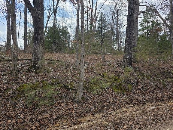 4th image of 4880 Polite Rd #2