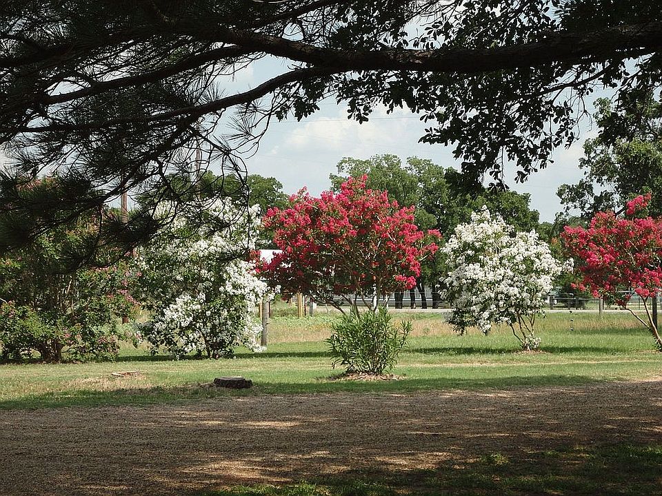 view from porch