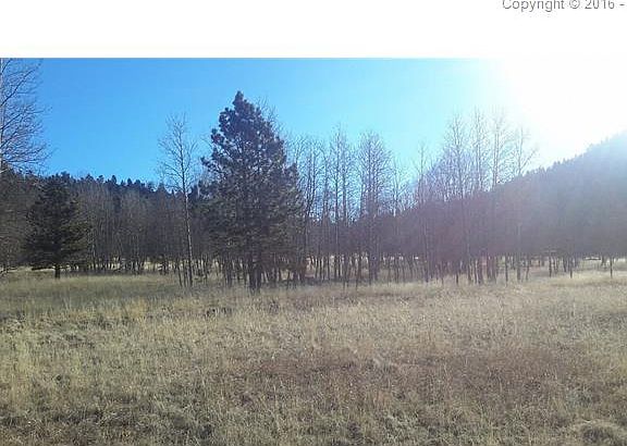2nd image of 1965 Vagabond Creek Dr