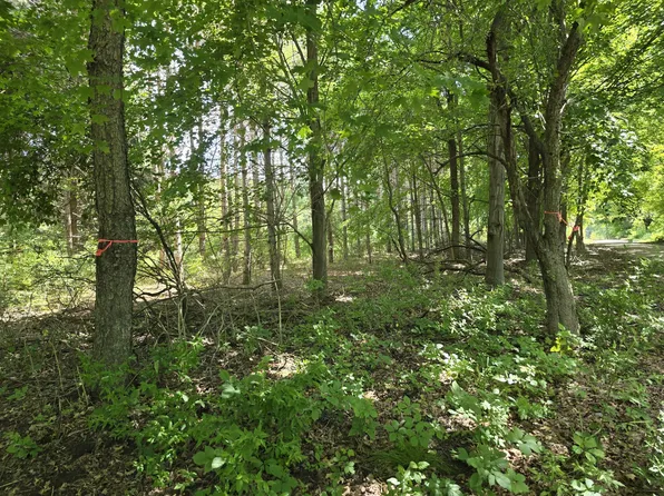 00-2 Hoover Rd, Barryton, MI 49305