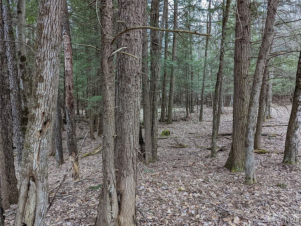 1st image of 14 Cedar Ln