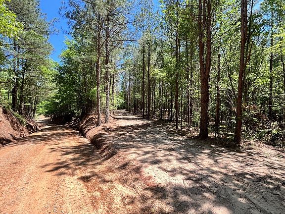 Driveway Leading to Cleared Home/Cabin/Barndominium Site From Chetwood Road