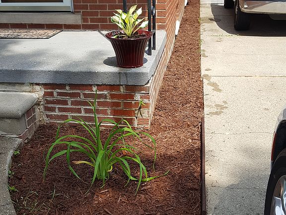 3rd image of 8416 Whitefield St