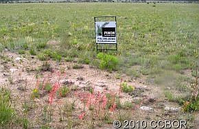 1st image of 31306 N Meadow Way