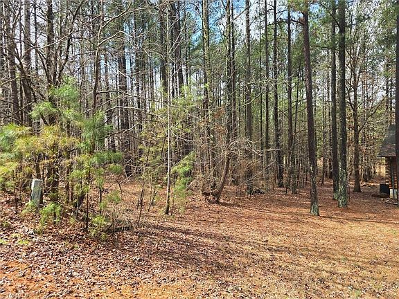 3rd image of 225 Cove Wood Dr