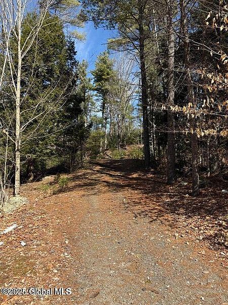 2nd image of 61 Snowshoe Ridge