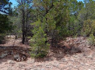 LOT 53 Johnnys Dr, Timberon, NM 88350