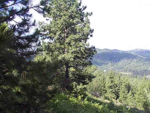 2nd image of 0 S Zuni Dr