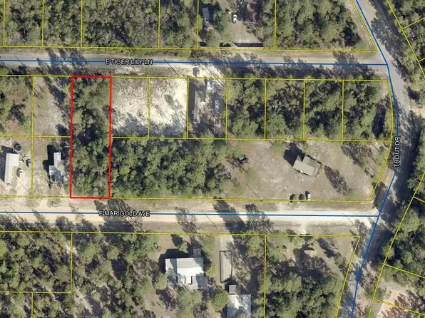 E Tiger Lily E Marigold Ave, Defuniak Springs, FL 32433