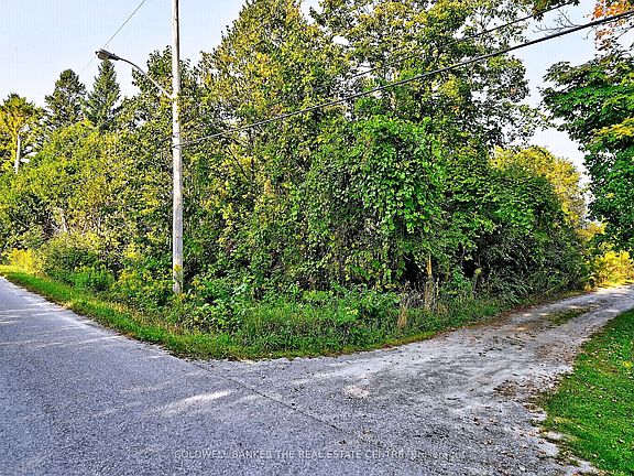 4th image of 20805 Brock Rd