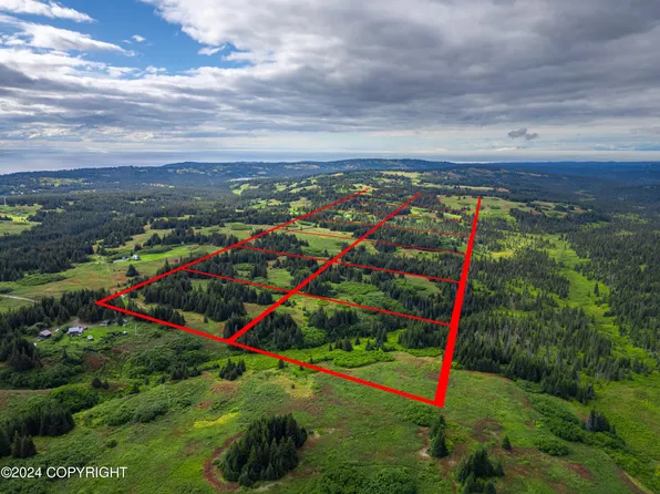 L10 Crossman Ridge Rd, Homer, AK 99603