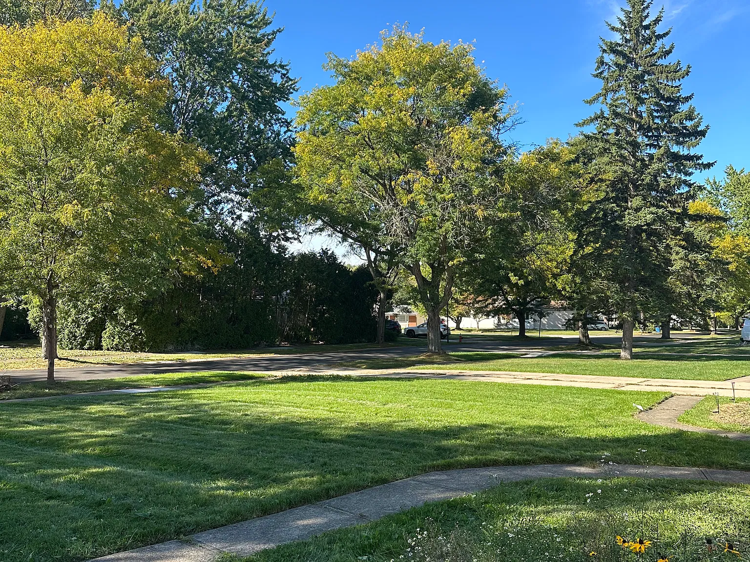 3 bed, 1200 sqft, $1,700 — Photo 3