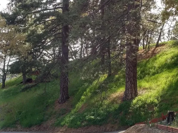 21545 Crest Forest Dr, Cedarpines Park, CA 92322