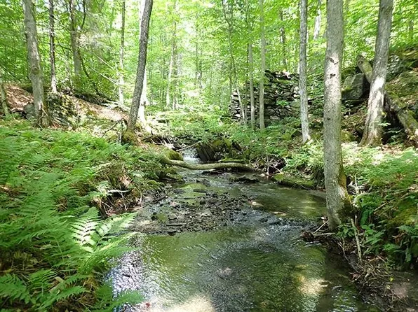 00 Bear Notch Road, West Fairlee, VT 05083