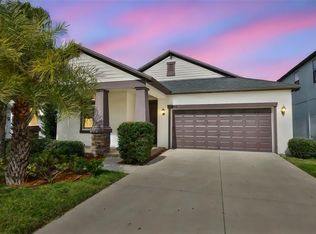 10616 Great Cormorant Dr, Riverview, FL 33579