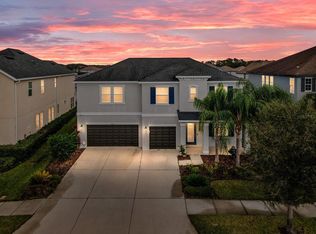 33370 Azalea Ridge Dr, Wesley Chapel, FL 33545