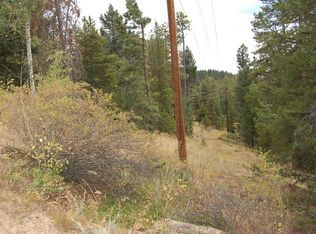 34125 Grouse Ln, Evergreen, CO 80439
