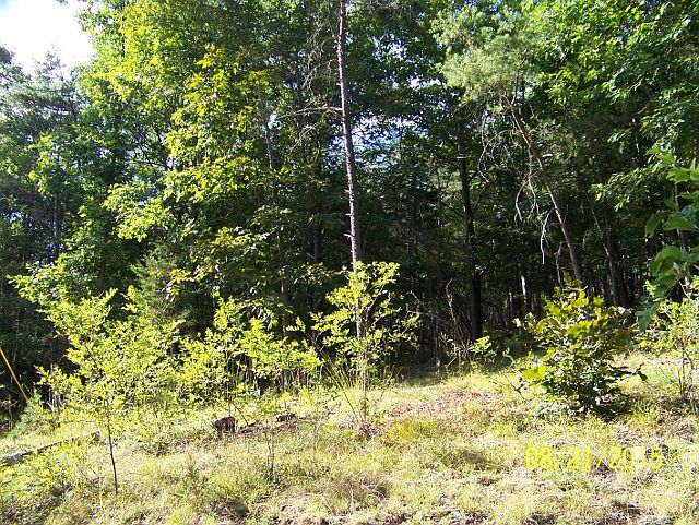 1st image of 000 Gun Smoke Hollow