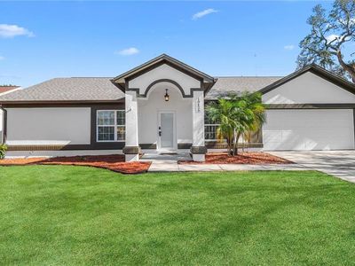 10426 Deepbrook Dr, Riverview, FL, 33569