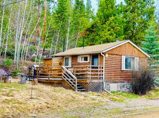 53 County Road 461, Grand Lake, CO 80447