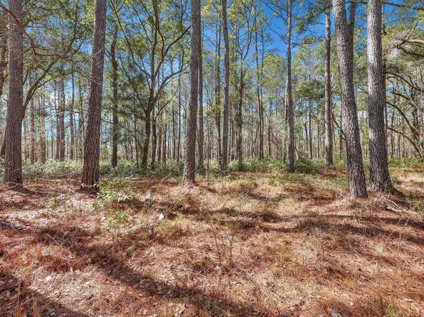 1010 Towhee Ln, Mc Clellanville, SC 29458