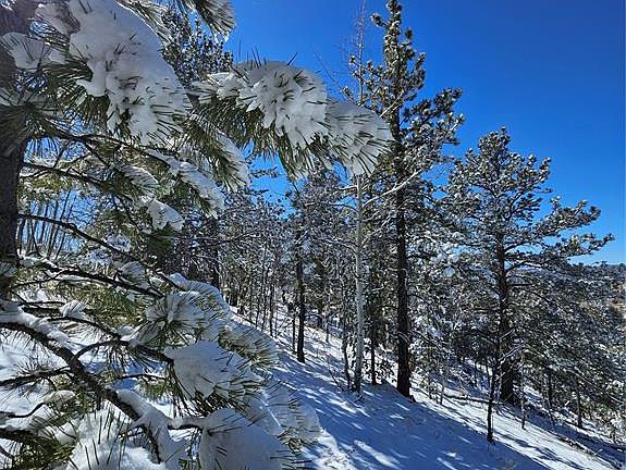 5th image of 829 Princess Rd