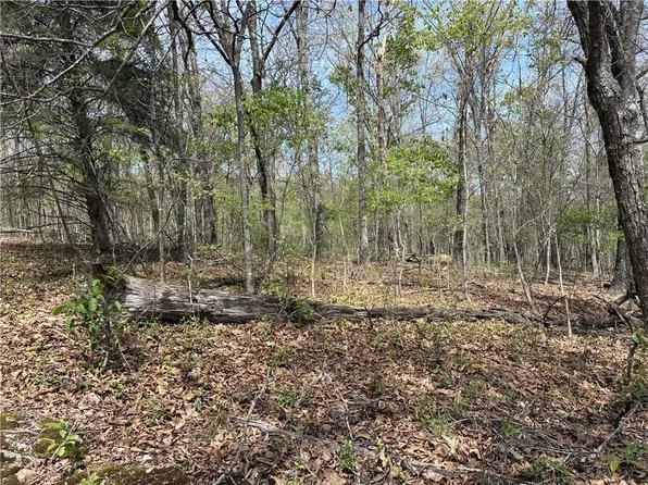 Chelmsworth Cir #16, Bella Vista, AR 72715