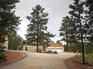 45 Singletree Rd, Buena Vista, CO 81211
