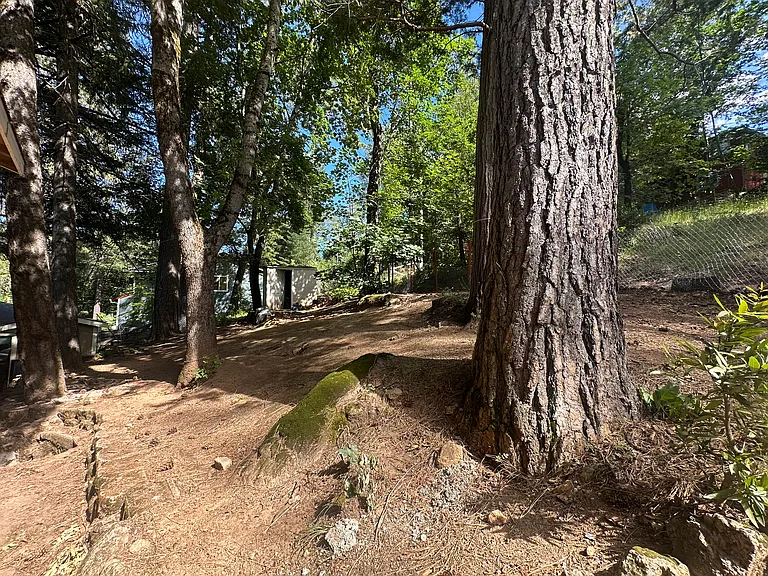 10311 Redwood Rd — Photo 6
