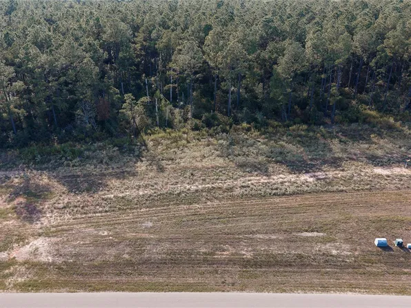 15583 Forest Grove Dr, Willis, TX 77378