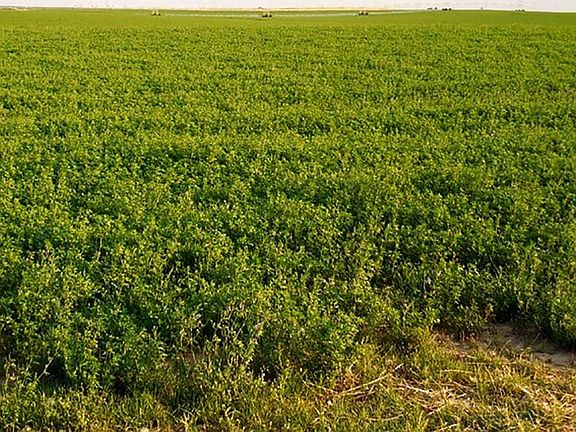 4th image of 622 S CR 149