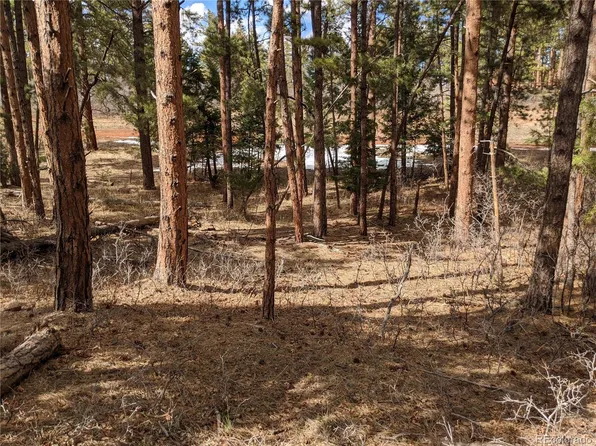 8159 Bannock Drive, Larkspur, CO 80118