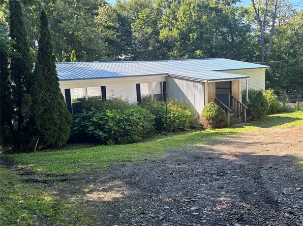 294 Raish Hill Rd, Candor, NY 13743