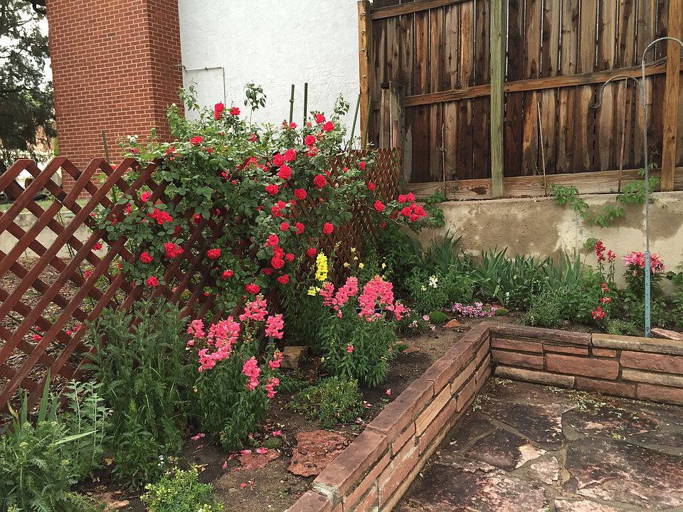 Garden and Patio