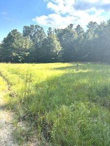 LOT Milner Rd #A, Chappells, SC, 29037