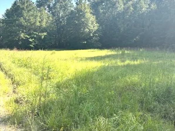 LOT Milner Rd #A, Chappells, SC 29037