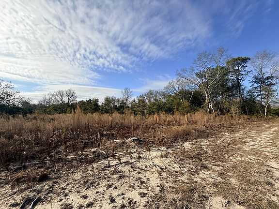 2nd image of 0 Festival Trail Rd