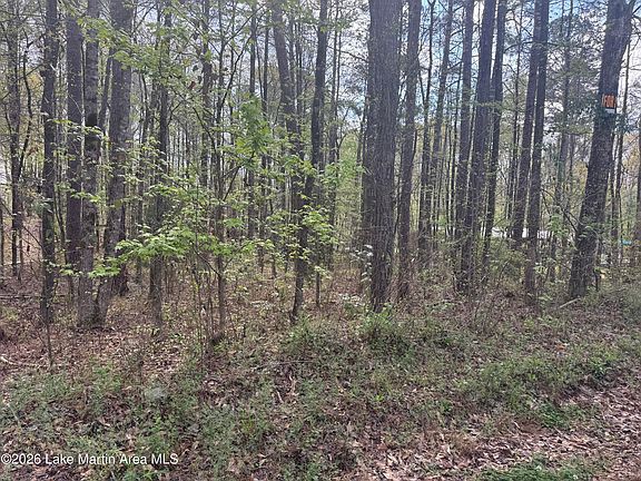 5th image of Lower Bottom Rd