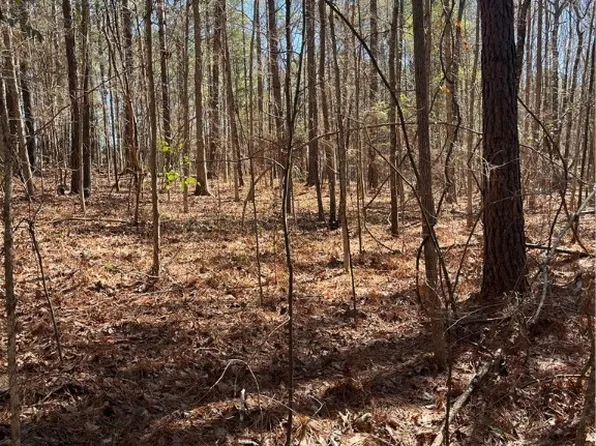 82 W High Way, Coker, AL 35452