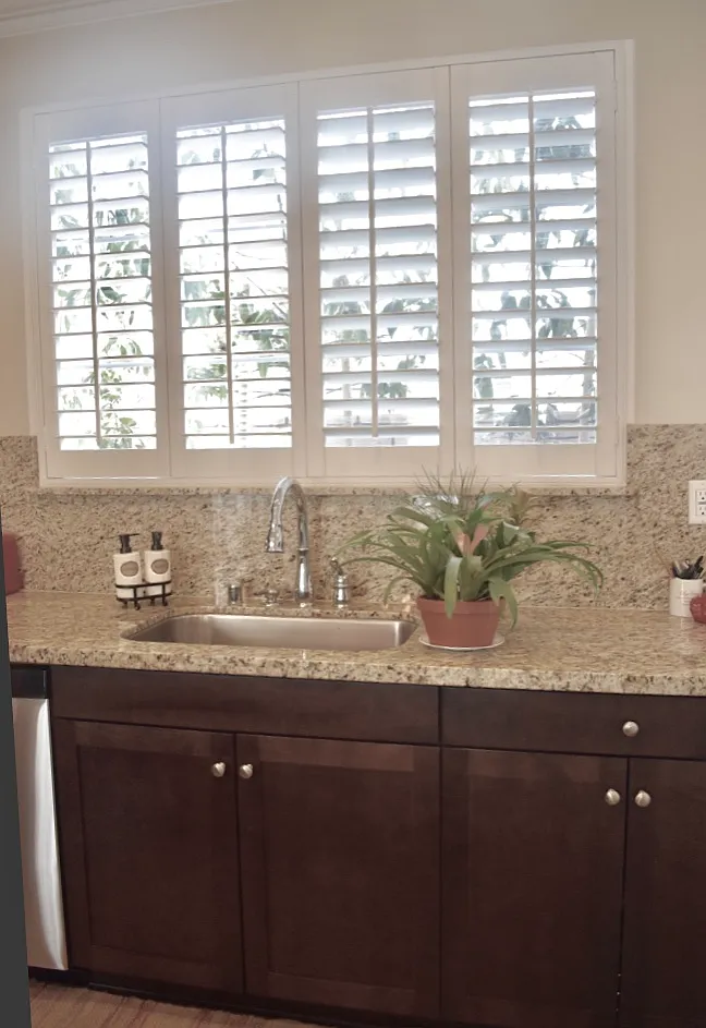 2125 Palmilla Ct — Photo 3
