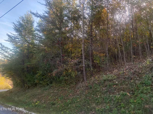 Red Oak Cir, Caryville, TN 37714