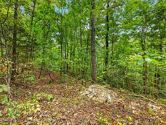 5th image of 23 Timber Ridge Ln