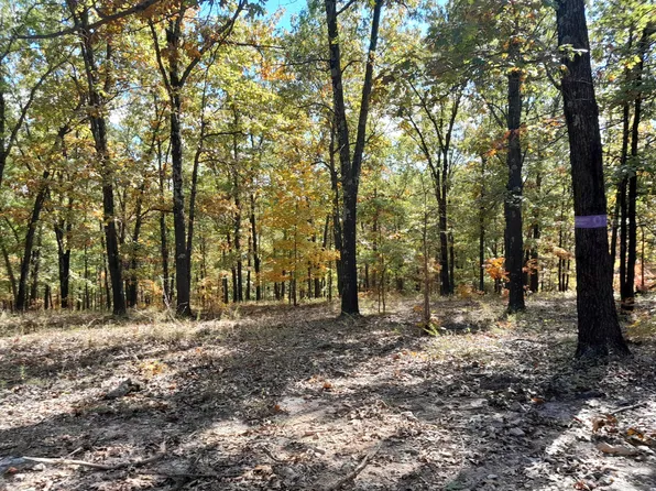 00 Box Hollow, Lebanon, MO 65536