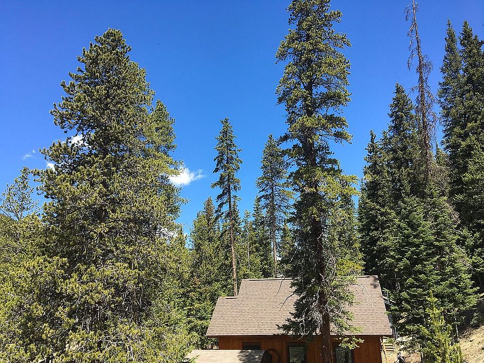 Cozy Mountain Paradise